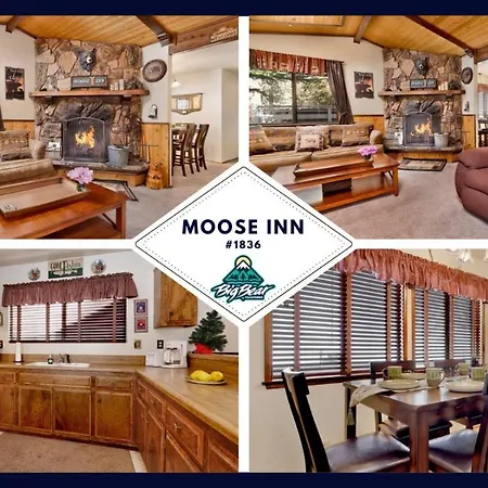 Moose Inn #1836